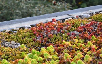 the cost of Rhydlios green roof installation