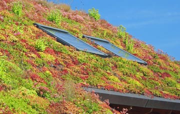 Rhydlios living roof systems